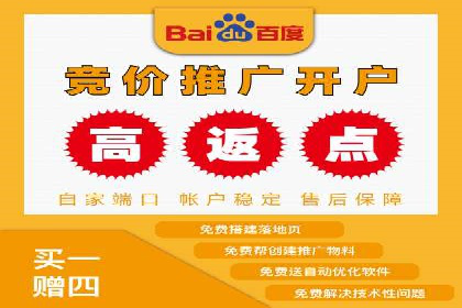 探索百度广告竞价的奥秘：某行业领先企业的投放经验